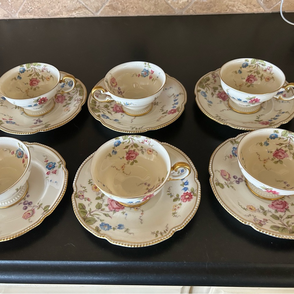Floral Porcelain Tea Cup and Saucer Set with Gold Trim